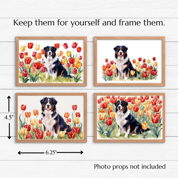 Bernese Moutain Dog in a Field of Tulips, Spring Collection Blank Note Card Set - Picture 9 of 12